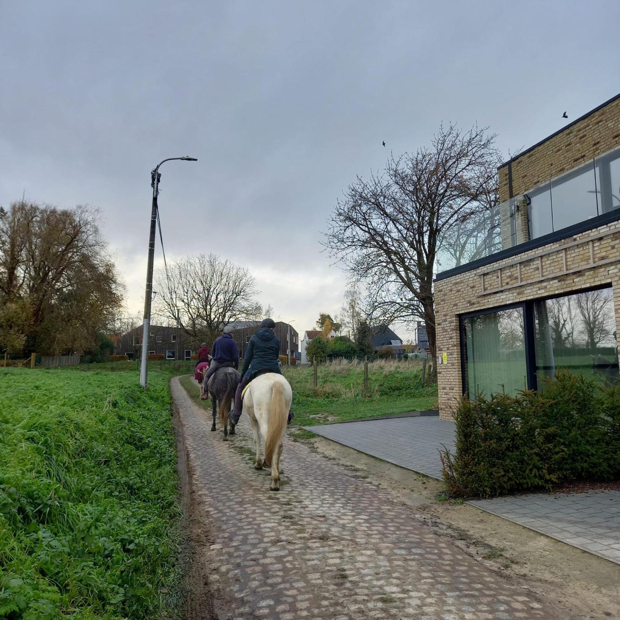 De Molenlos Zottegem Exterior foto